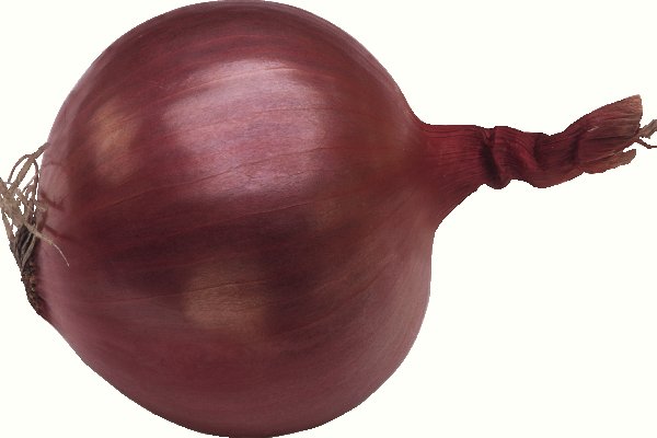 Mega onion mega zerkalo