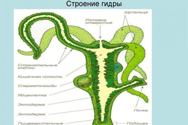 Сайт мега дарк нет